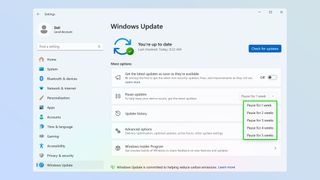 Windows 11 automatic updates