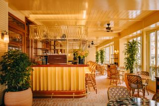 Public House Paris yellow-coloured reception area and plants