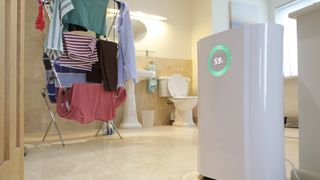 dehumidifier next to clothes drying in the bathroom