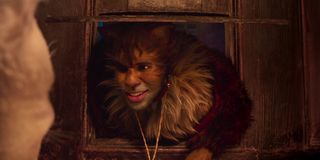 Cats Jason Derulo popped out through a cat door