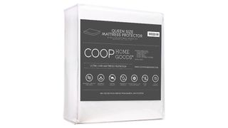 Coop Home Goods Mattress Protector