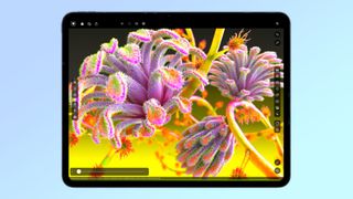 iPad Pro 2024 display