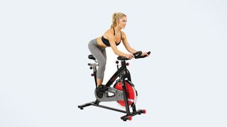 Best home gym equipment: Sunny Health & Fitness Bike