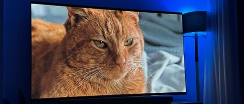 Beeld van Jones de kat uit de film Aliens op de LG G4 OLED TV