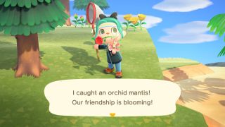 Animal Crossing New Horizons Bug Catching