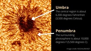Labelled sunspot image showing darker central region, the umbra, and the surrounding region known as the penumbra.