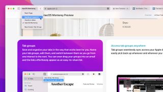 How to use Safari Tab Groups in macOS Monterey