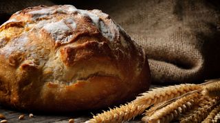 Round loaf of bread with grain in foreground