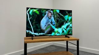 LG OLED42C3 with a monkey on the screen