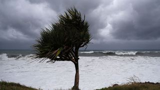 Cyclone Freddy lashes the Reunion island in February 2023.