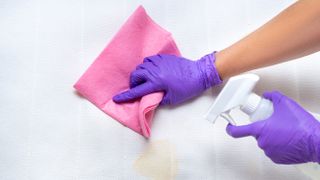 Image shows a person wearing purple disposable gloves using a pink cloth to clean yellow stains from the top of a white mattress