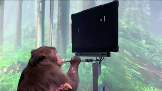 Neuralink monkey playing Pong