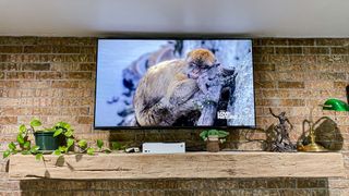 Vizio M-Series Quantum X 50” Class 4K TV hung on wall in living room