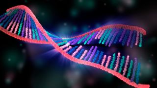 The origin of life might be discovered by looking into our DNA