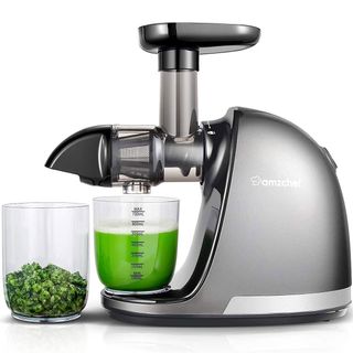 Amzchef Slow Juicer ZM1501