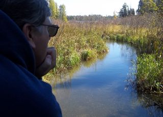 The Mississippi River begins as a small stream flowing out of Lake Itasca in northern Minnesota.