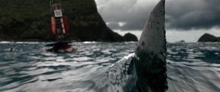 A shark swims toward a buoy in The Shallows