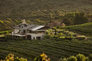 view of building in middle of vineyard, hills behind and vineyard in front