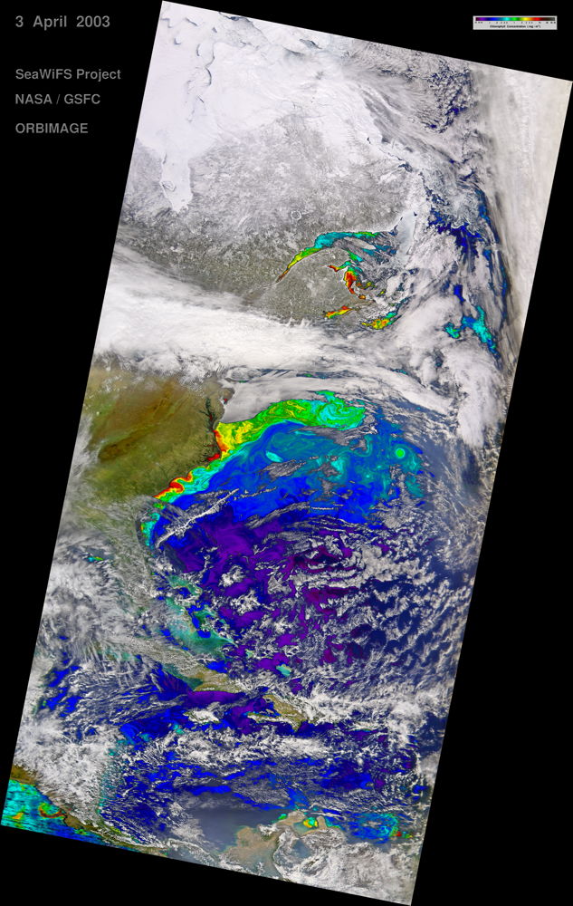 Gulf Stream SeaWiFS Image