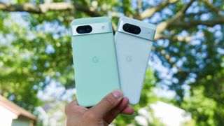 Google Pixel 8a vs Pixel 8a camera shootout.