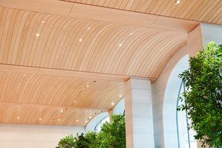 Ceiling detail at apple brompton road