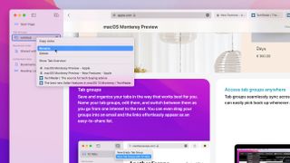 How to use Safari Tab Groups in macOS Monterey