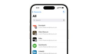 Apple Passwords app on iOS 18