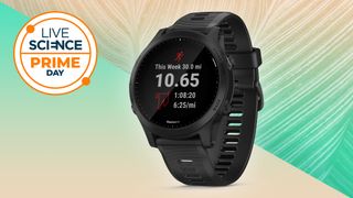 Garmin forerunner 945 smart watch fitness tracker on a green leafy background with the live science prime day deals logo in the top left corner