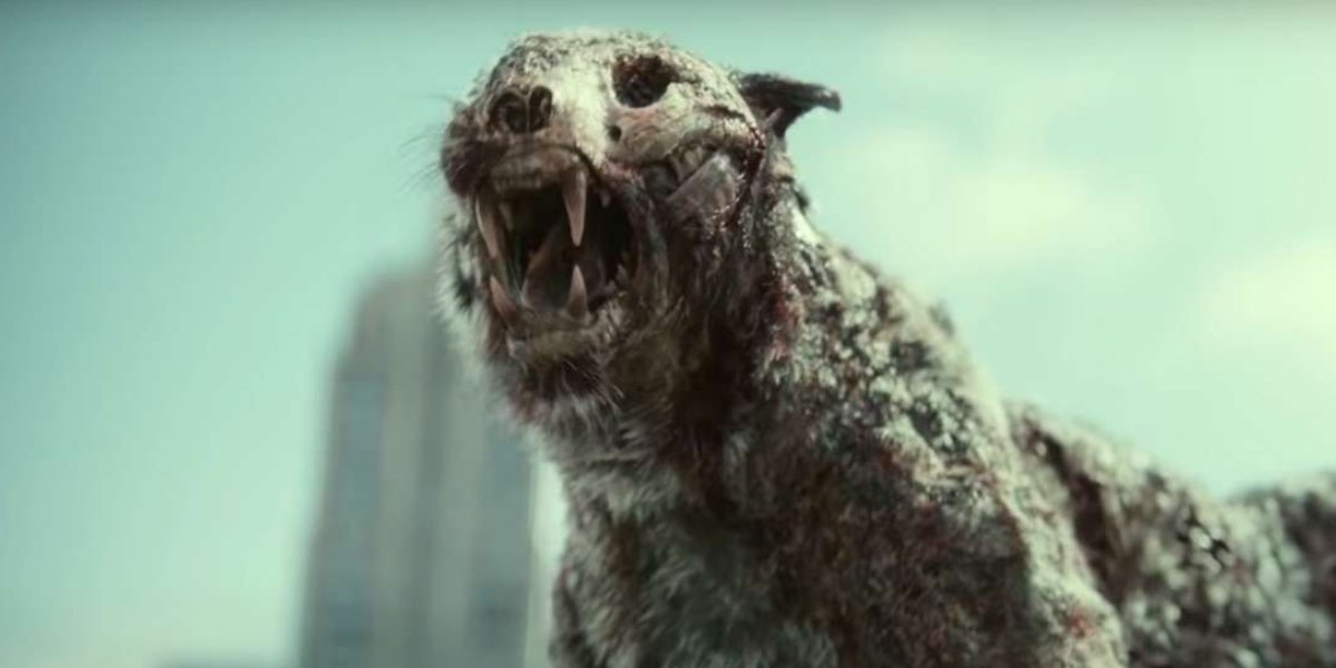 The zombie tiger from Zack Snyder&#039;s Army of the Dead