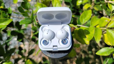 The Sony LinkBuds WF-L900 front and center over a garden backdrop