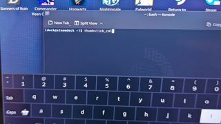 Steam Deck type thumbstick_cal and then press enter..