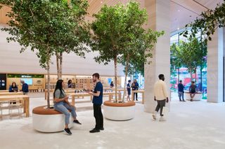 Seating among plants in apple brompton road