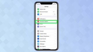 A screenshot from an iPhone showing the Settings menu with Sounds and Haptics selected