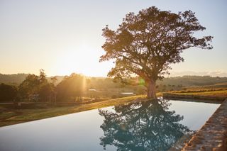 Sun Ranch hotel swimming pool