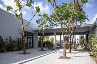 Tree lined courtyard