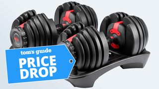 Bowflex SelectTech 552 Adjustable Dumbbells