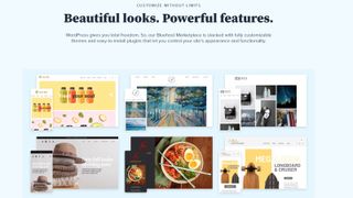 Bluehost's webpage advertising WordPress themes