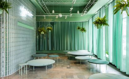 Interior design in green tones