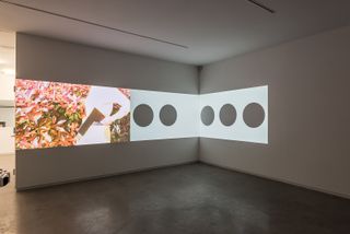 Installation view of ‘Hilary Lloyd’ at Blaffer Art Museum, Texas, 2016