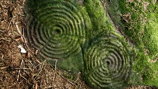 two ancient mossy circles with spirals on stone