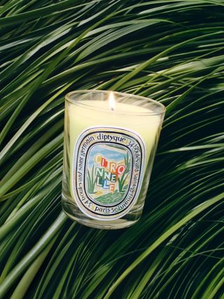 Diptyque Citronelle scented candle