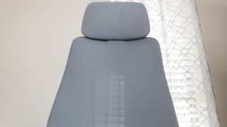 The mesh backrest of the Haworth Fern office chair
