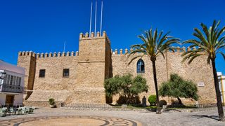 a ston castle with a parapet along the roof. There are two palm trees in the foreground and a blue sky above.