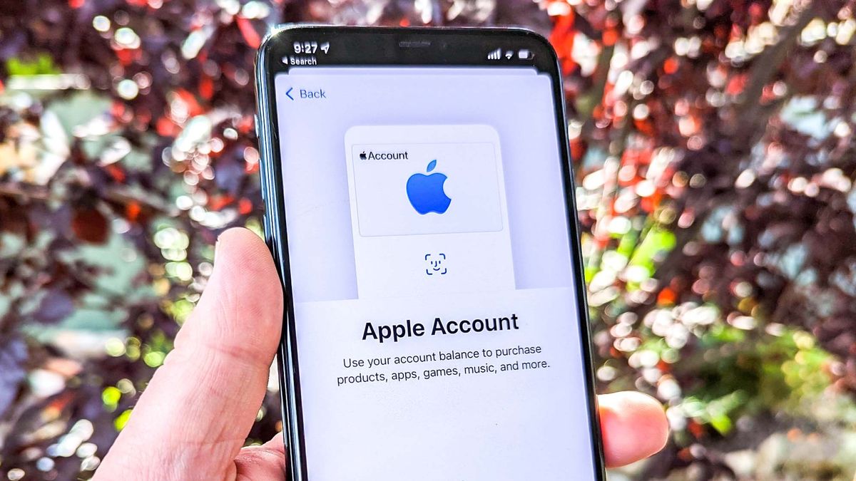 Apple Card Account