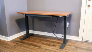 Branch Duo Standing Desk