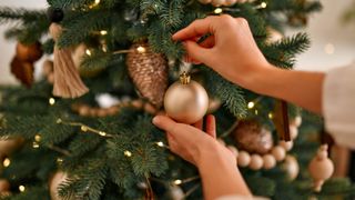 Someone decorating a Christmas tree