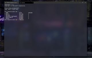 Manjaro on Wsl