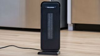 Pelonis space heater