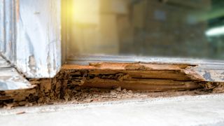 A window frame which has been damaged by termites