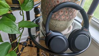 A pair of Sony XM4 headphones sitting next to a pothos plant